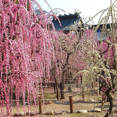 Miyako City 津市 外观 照片