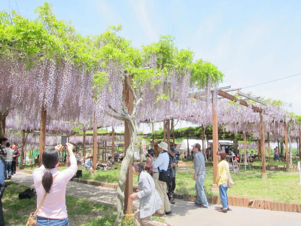Miyako City 津市 外观 照片