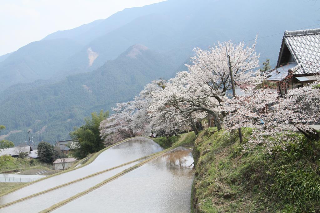 Miyako City 津市 外观 照片